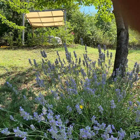 Casa Ribes - Fattoria La Speranza, Toscane Anghiari